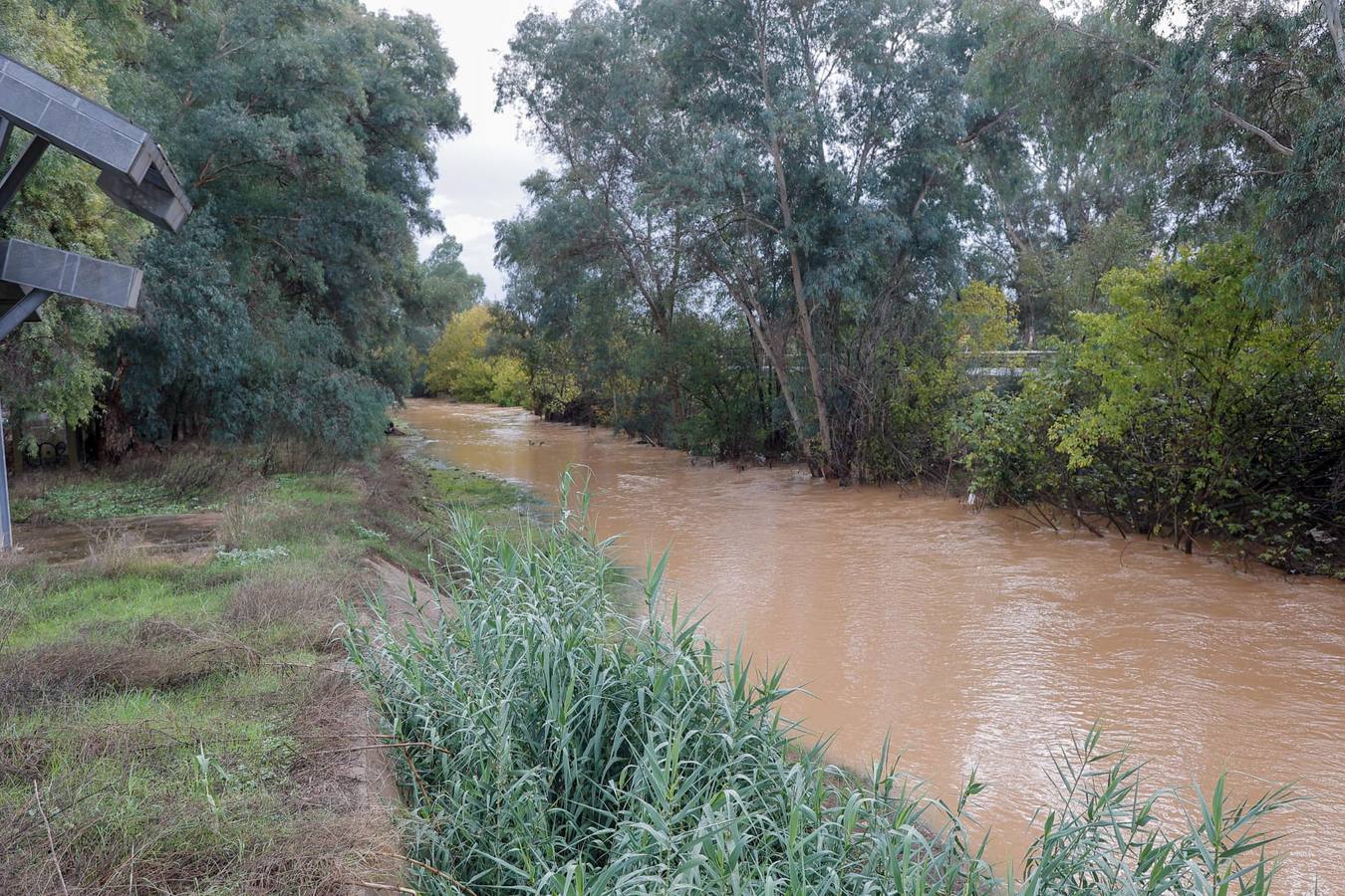 El agua ha obligado a cortar el tráfico en la zona durante varias horas