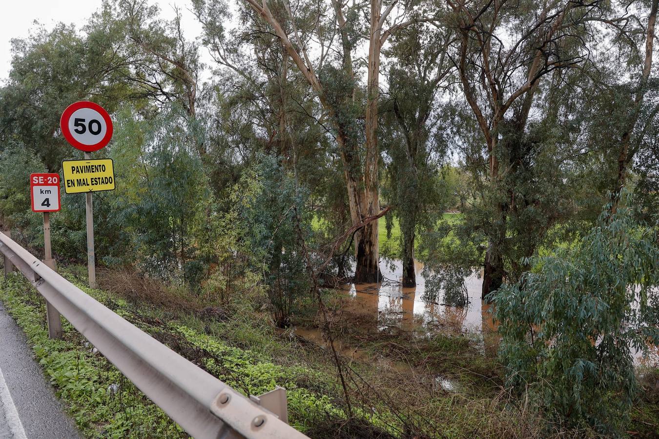 El agua ha obligado a cortar el tráfico en la zona durante varias horas