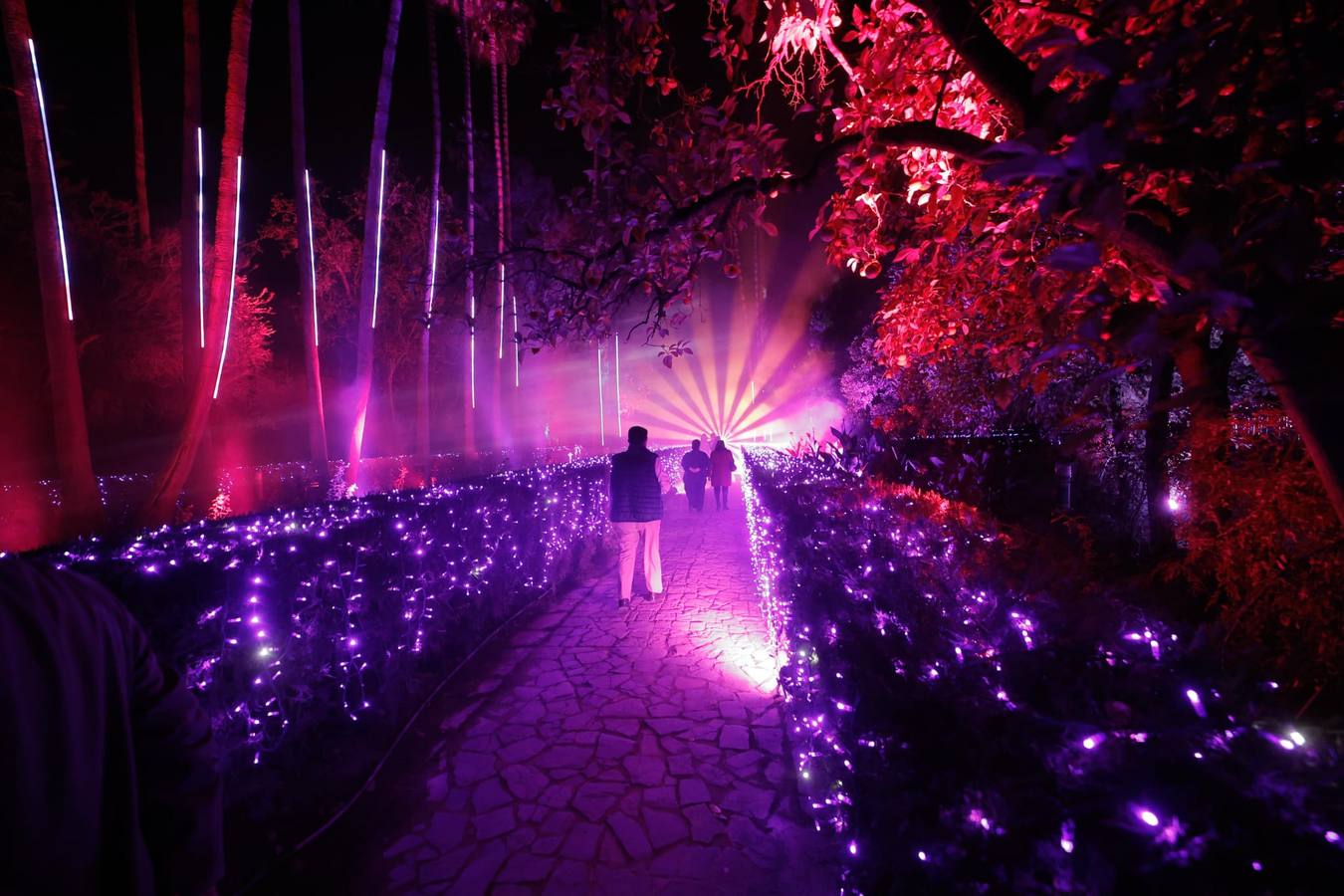 Espectáculo de Naturaleza Encendida en el Alcázar de Sevilla