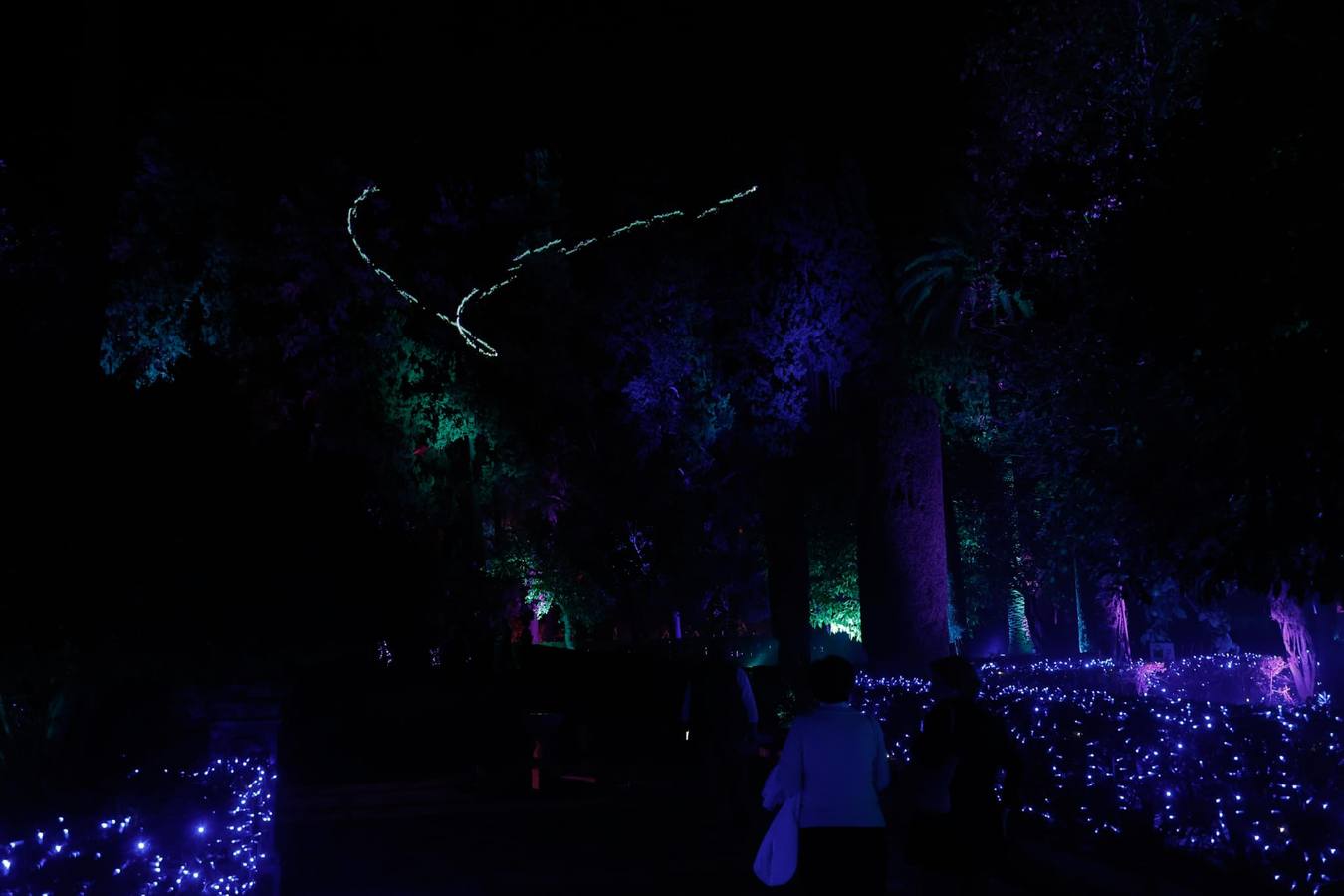 Espectáculo de Naturaleza Encendida en el Alcázar de Sevilla