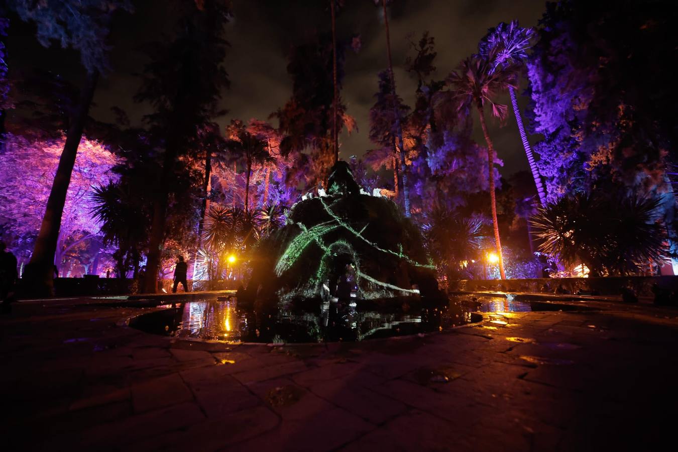 Espectáculo de Naturaleza Encendida en el Alcázar de Sevilla