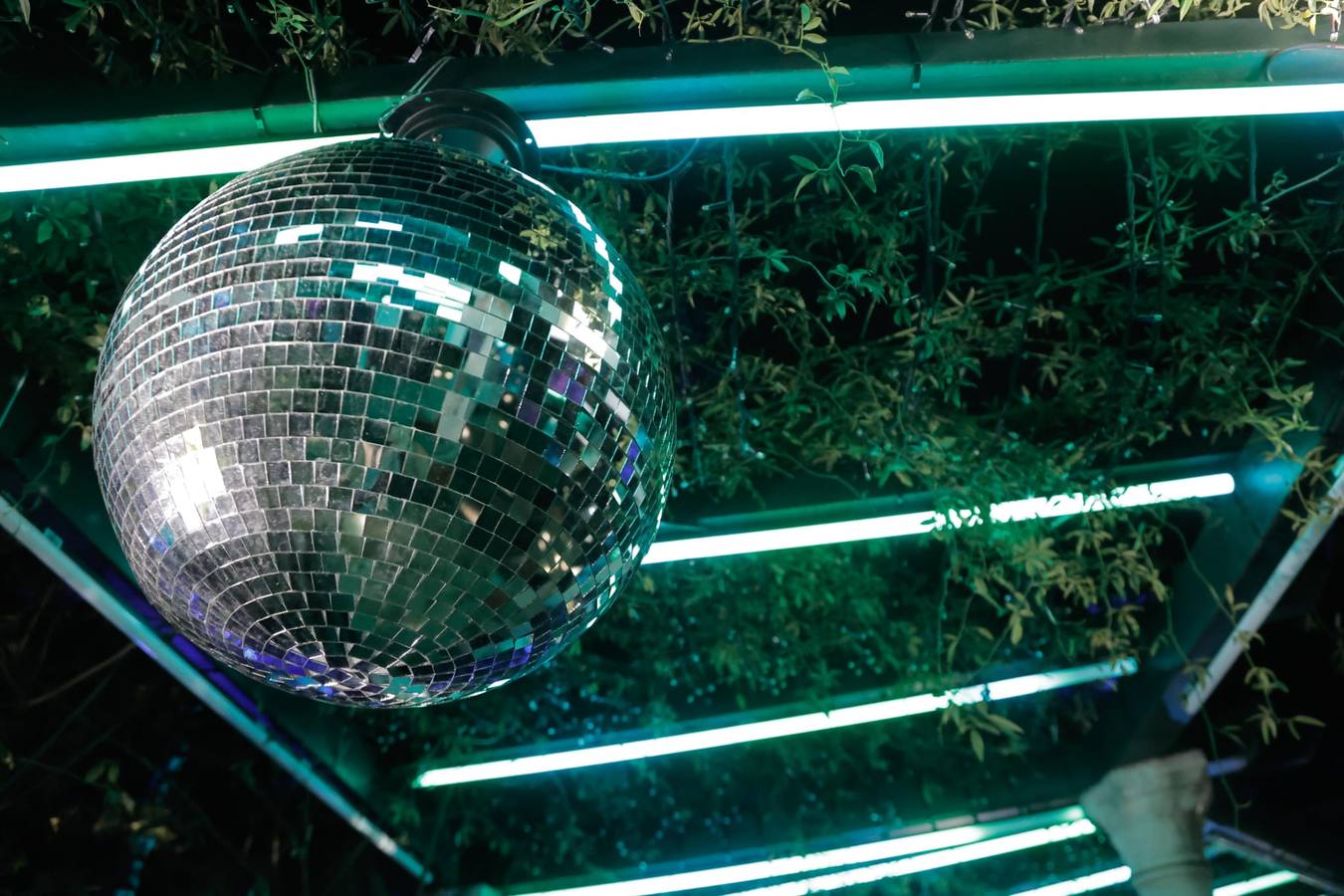 Espectáculo de Naturaleza Encendida en el Alcázar de Sevilla