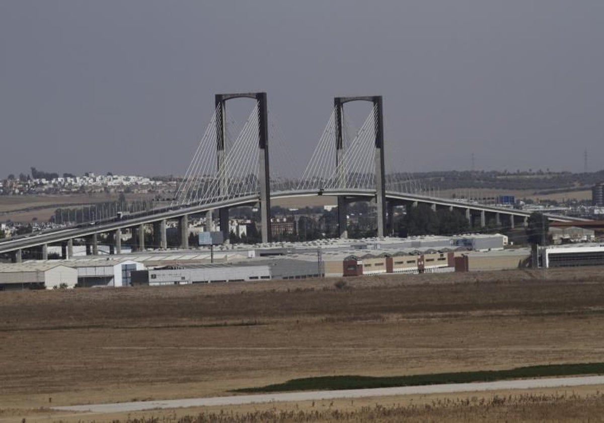 El Puente del Centenario desde la Dehesa de Tablada