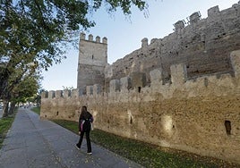 Urbanismo incluye el centro de interpretación de la muralla de la Macarena de Sevilla en sus cuentas del año que viene