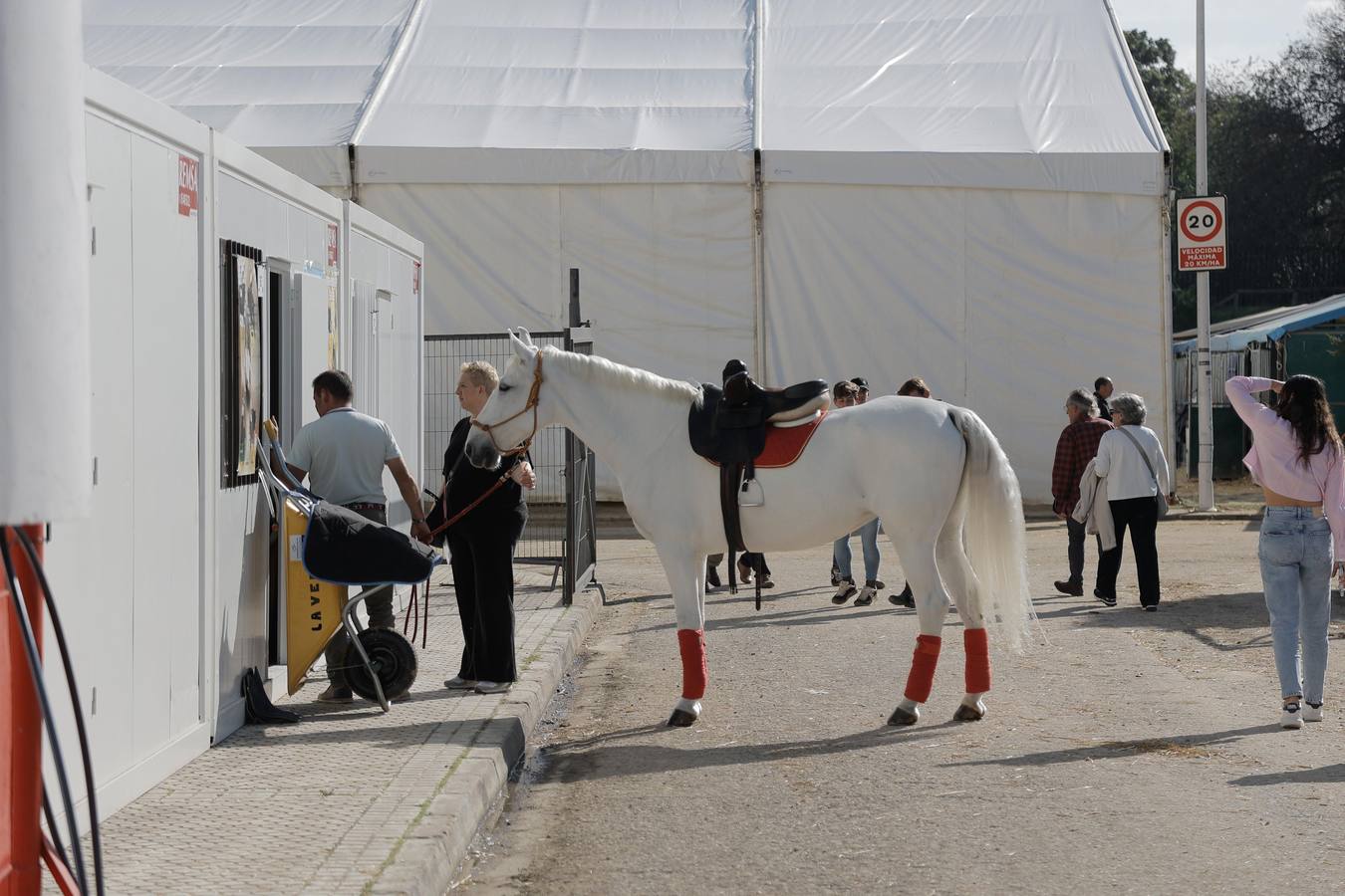 Durante la jornada previa se cuidan todos los detalles para que el Sicab 2024 sea un éxito