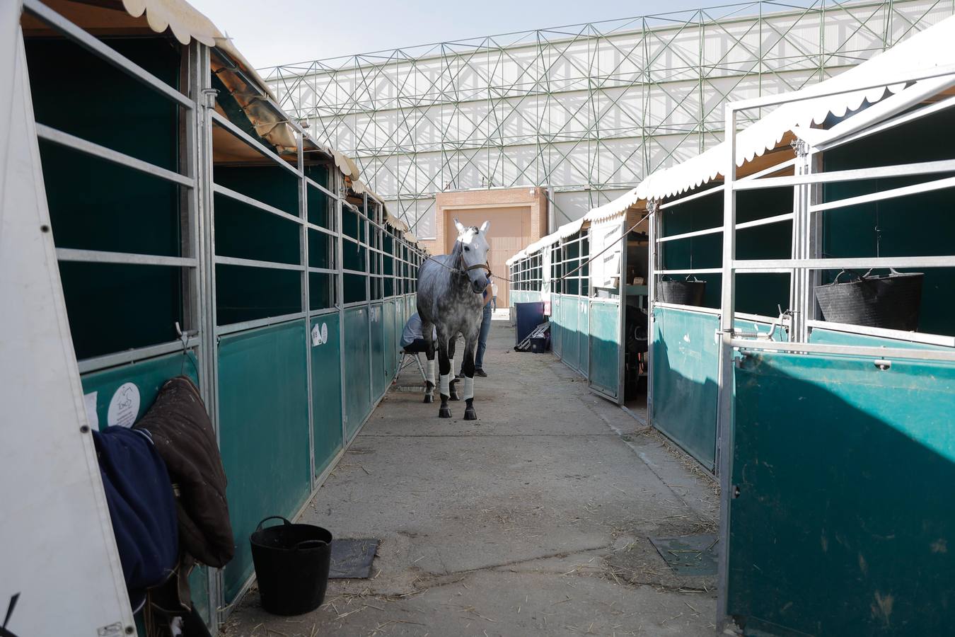 Durante la jornada previa se cuidan todos los detalles para que el Sicab 2024 sea un éxito