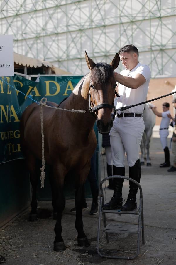 Durante la jornada previa se cuidan todos los detalles para que el Sicab 2024 sea un éxito