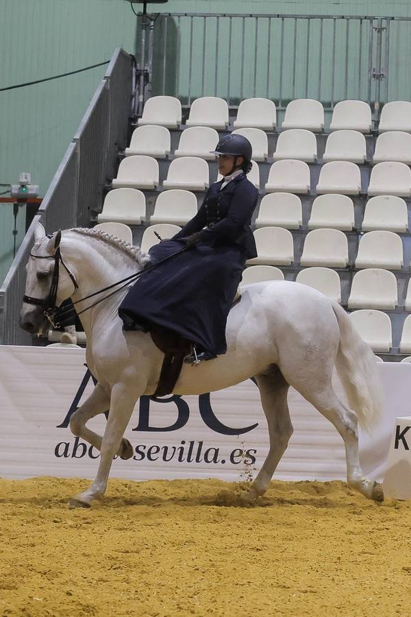 El Sicab se ha convertido en una cita obligada para los aficionados y profesionales del mundo del caballo