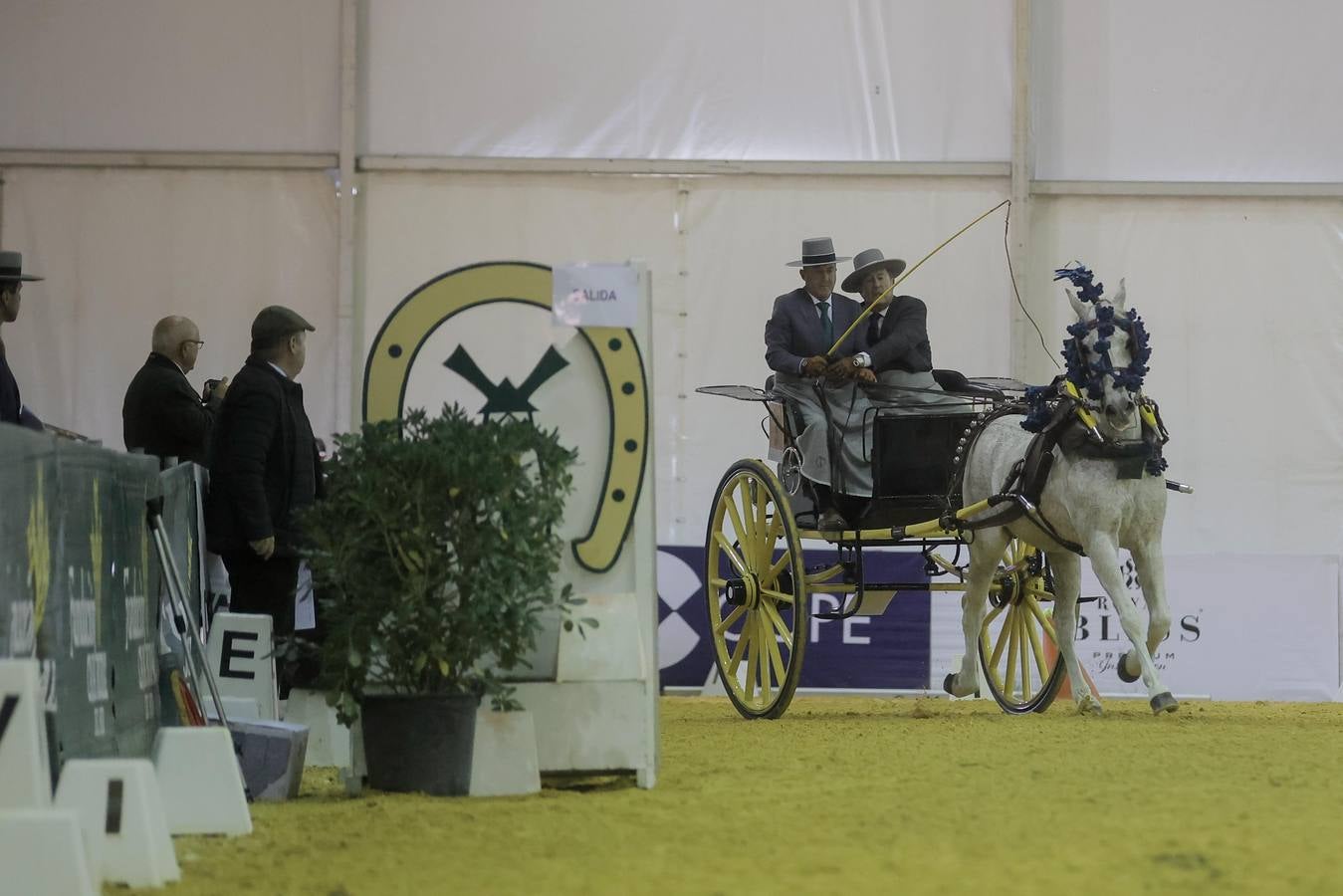 Durante la jornada del jueves en Fibes se pudieron contemplar magníficos ejemplares de caballos