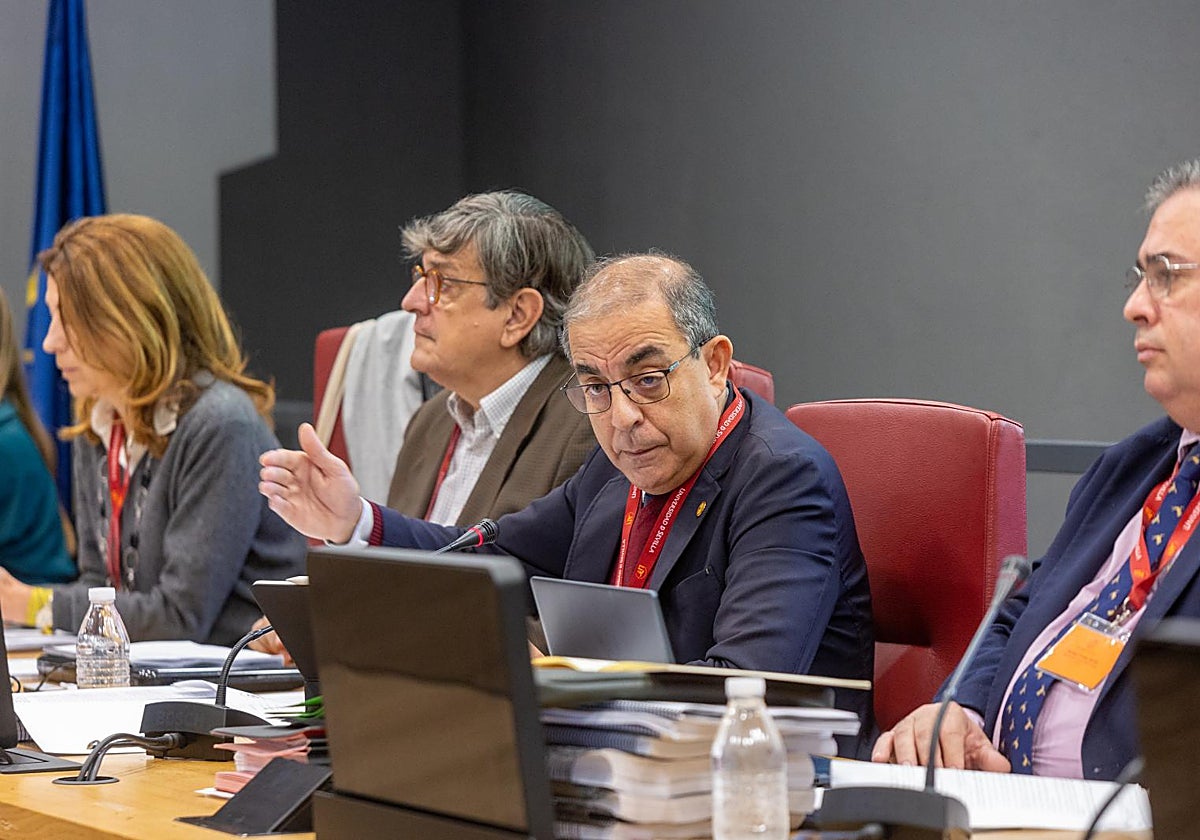 El rector de la Hispalense, Miguel Ángel Castro, en el claustro