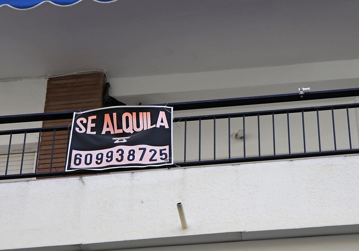 Anuncio de alquiler de un piso en el barrio universitario de Reina Mercedes