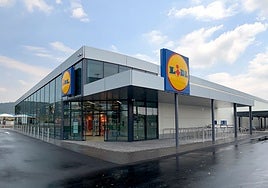 Lidl calcula en 1.880 millones el impacto de sus actividad en Andalucía, donde cuenta con una plantilla de 3.560 empleos directos