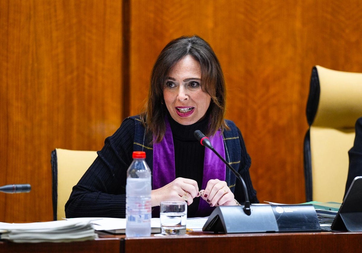 Rocío Díaz, consejera de fomento