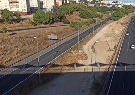 Las obras del carril Bus-VAO en el Aljarafe, supondrá la plantación de más de mil árboles y arbustos