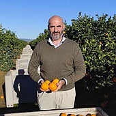 La compañía que surte de naranja a Mercadona: «La extraordinaria calidad de este año recuperará el consumo»