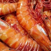 Los mejores lugares para comprar el marisco en Sevilla esta Navidad