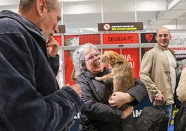 Emoción en la terminal de Sevilla: hasta la perrita Manuela vuelve a casa por Navidad