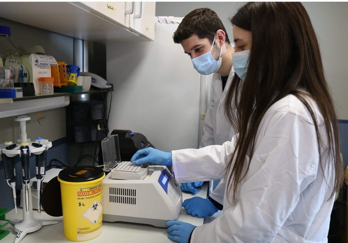 Investigadores del Instituto de Biomedicina de Sevilla (IBIS)