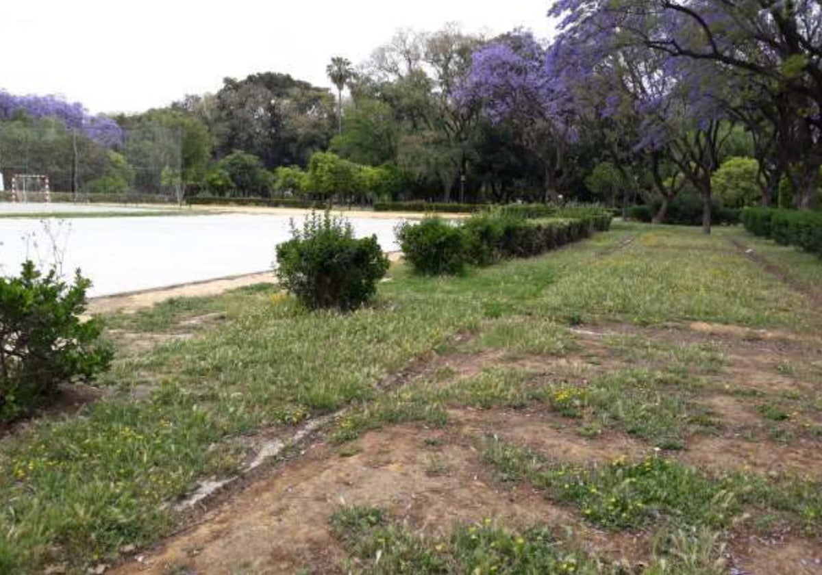 La vegetación ha hecho suya parte de la zona deportiva del parque