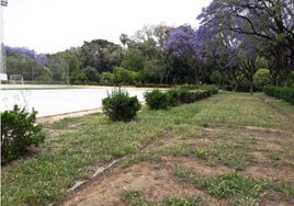 La zona deportiva del parque de los Príncipes de Sevilla se reformará e incluirá pistas de ping-pong y petanca