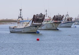 La flota arrastrera andaluza se amarra el día 2 de enero en protesta por los recortes de días de pesca