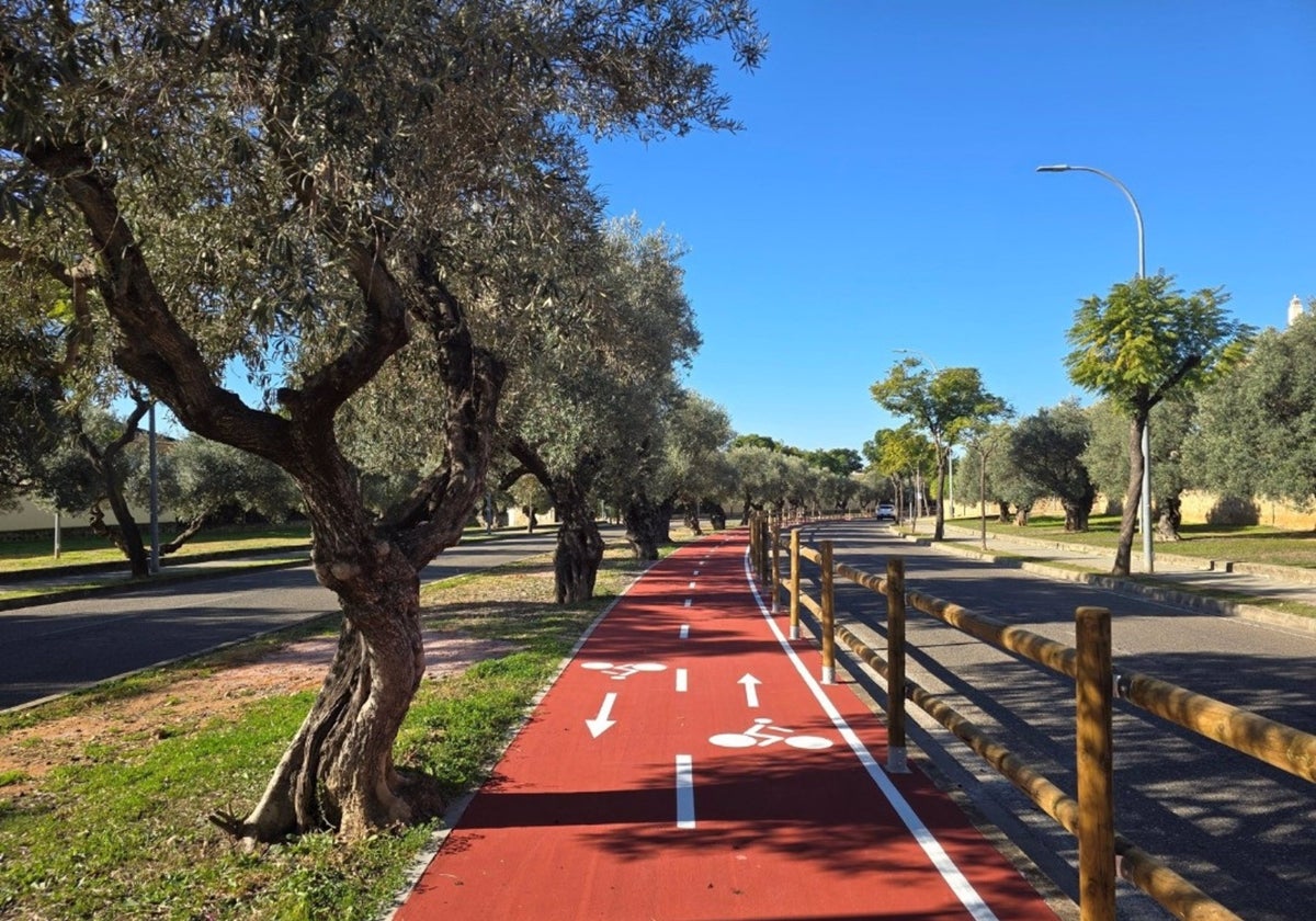 Carril de bici de Dos Hermanas