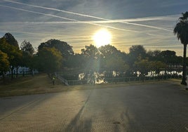 Limpian la laguna del Jardín Americano de Sevilla tras años de abandono