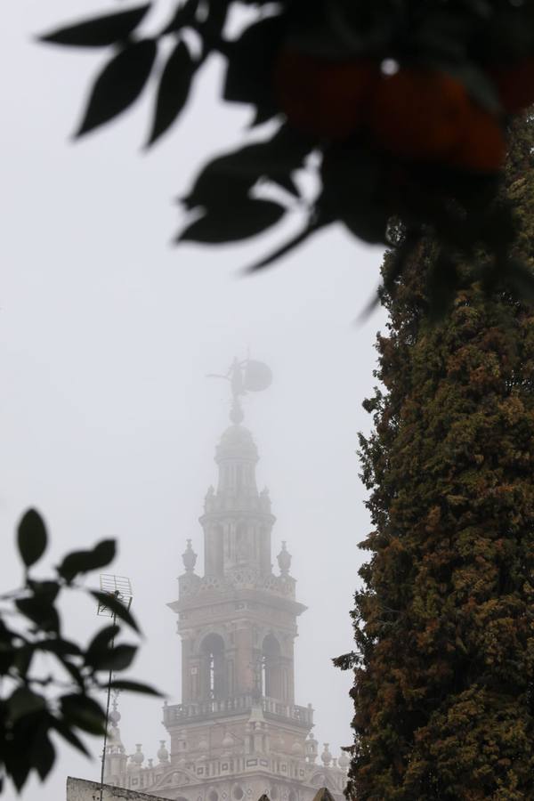 Estampas bonitas y fantasmagóricas a la vez de los rincones de Sevilla con niebla