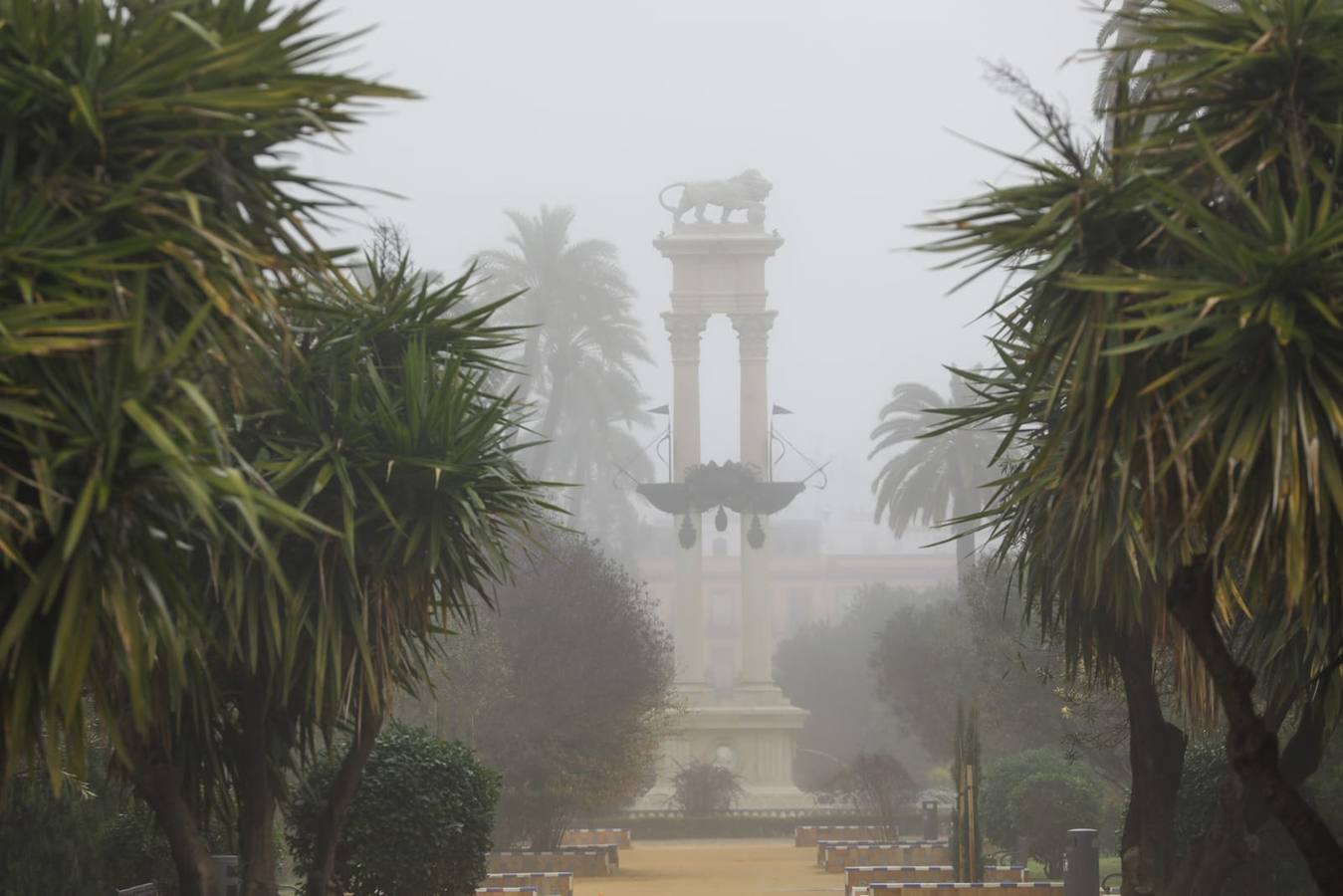 Estampas bonitas y fantasmagóricas a la vez de los rincones de Sevilla con niebla