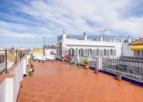 Imagen secundaria 1 - Así es la casa en venta más cara de Sevilla: tiene cinco siglos, piscina, vistas a la Giralda y vale 8 millones de euros