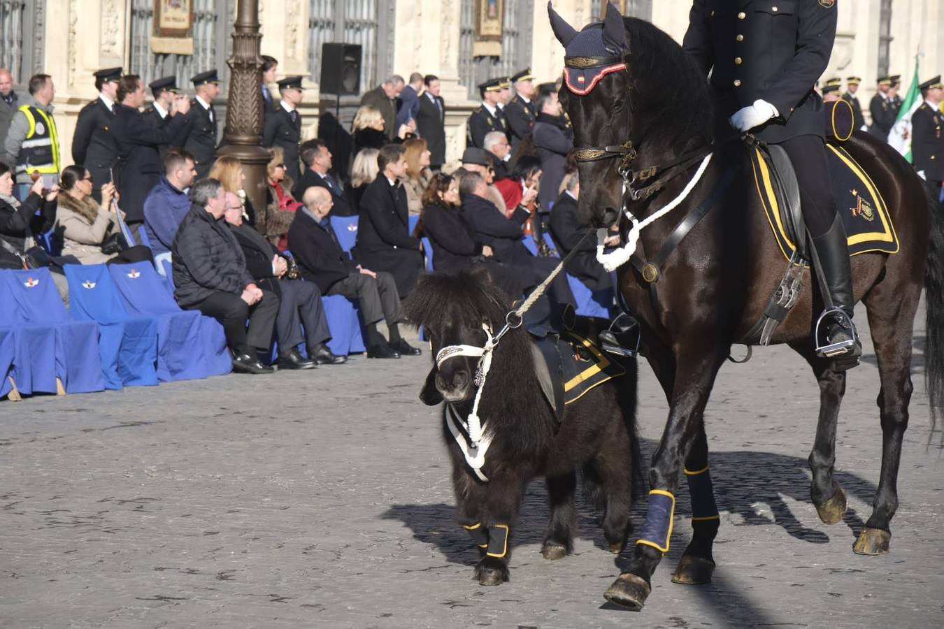 La plaza de San Francisco ha sido el escenario del aniversario de la Policía Nacional en Sevilla