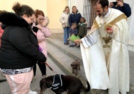 La bendición de mascotas por San Antonio Abad en Dos Hermanas empieza a echar raíces