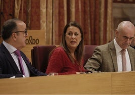 El concejal del PSOE que acusó a Sanz de «parálisis cerebral» pide la dimisión del presidente del Pleno por «esparcir bulos»