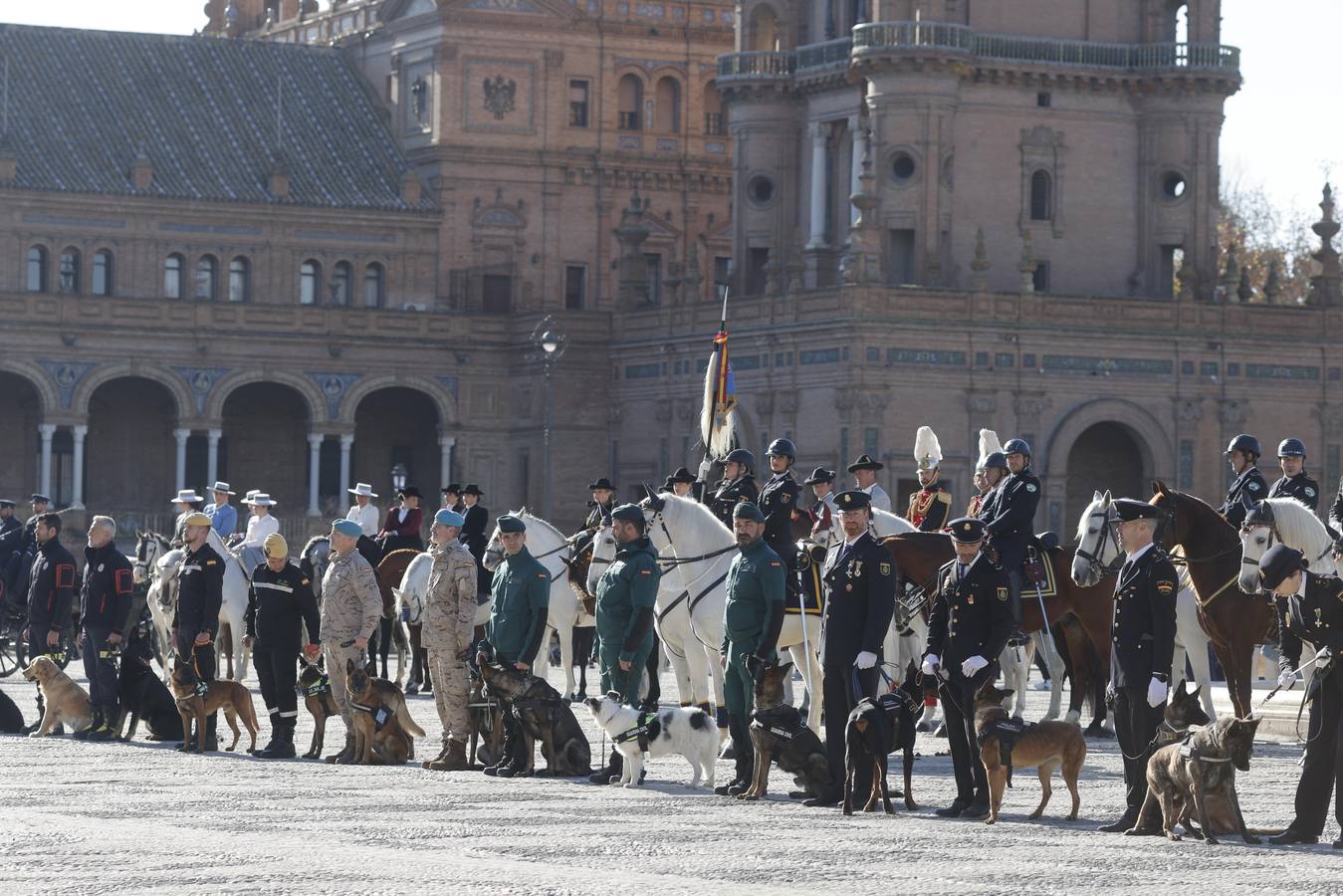 Los animales han sido los grandes protagonistas de este acto homenaje de la Policía Nacional