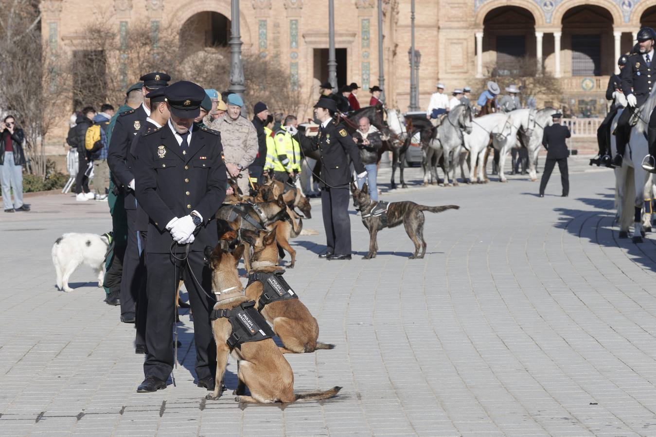Los animales han sido los grandes protagonistas de este acto homenaje de la Policía Nacional