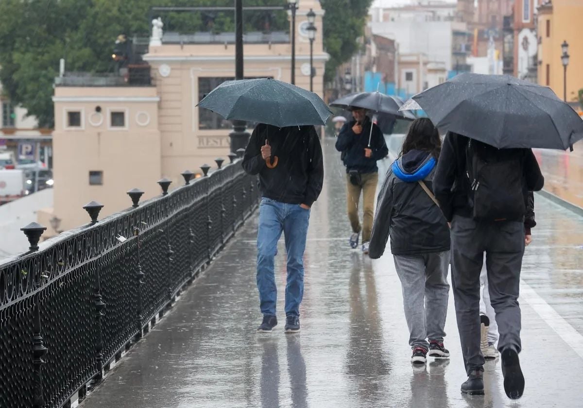 Andalucía no se librará de los estragos de la última borrasca y distintas provincias se encontrarán en aviso debido a las condiciones meteorológicas
