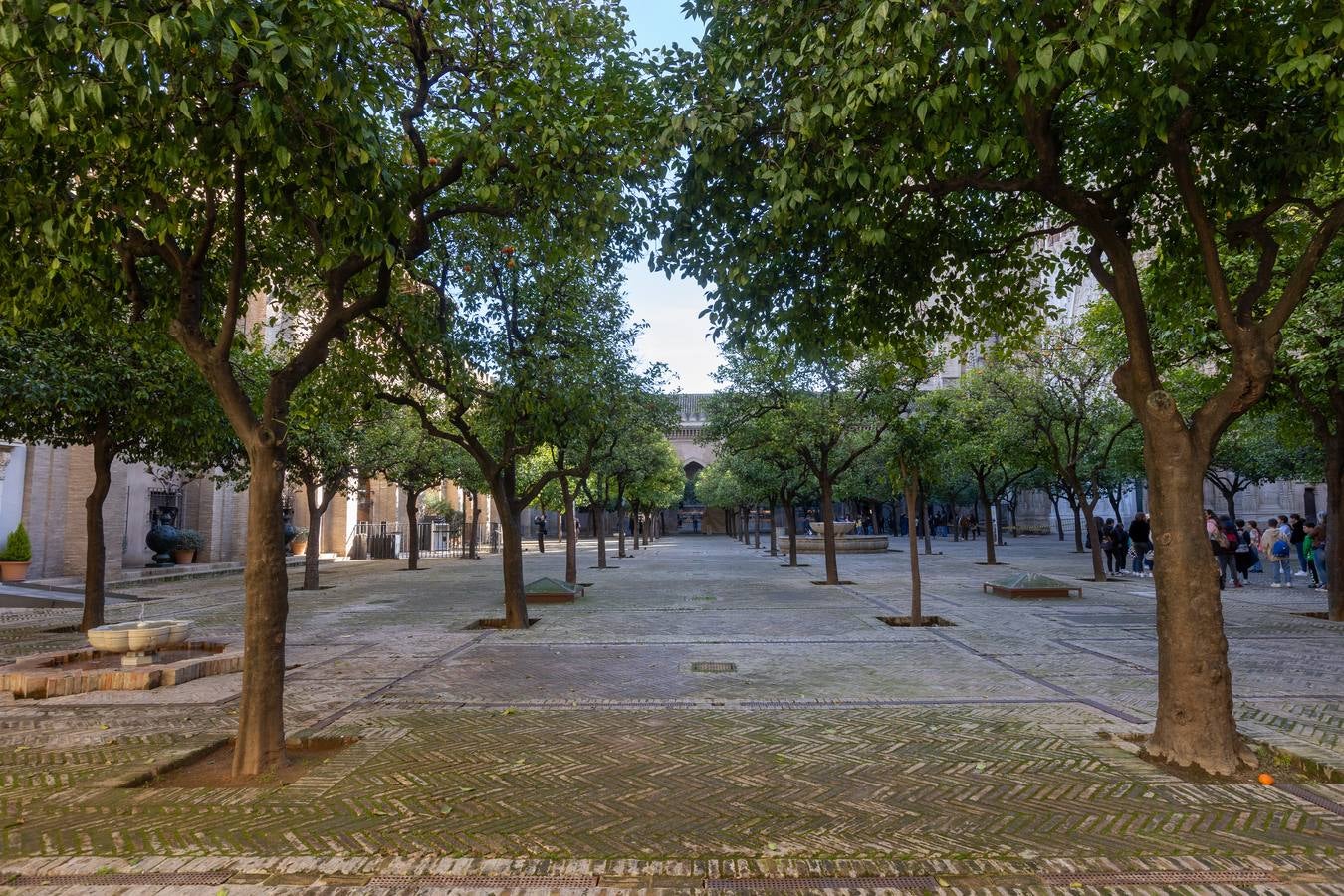 Pasadizos, túneles y áreas de la Catedral que se verán afectadas por las obras