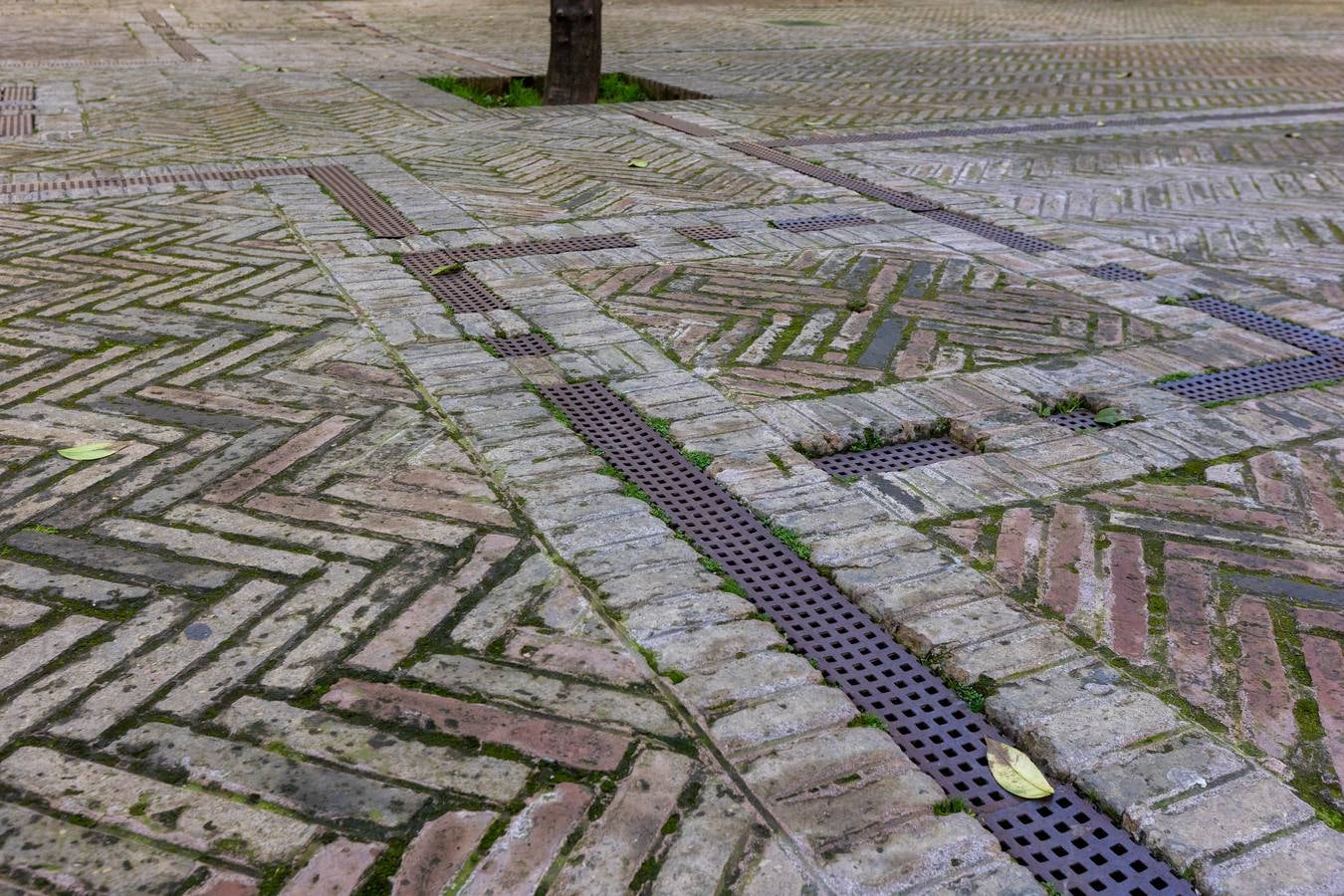 Pasadizos, túneles y áreas de la Catedral que se verán afectadas por las obras