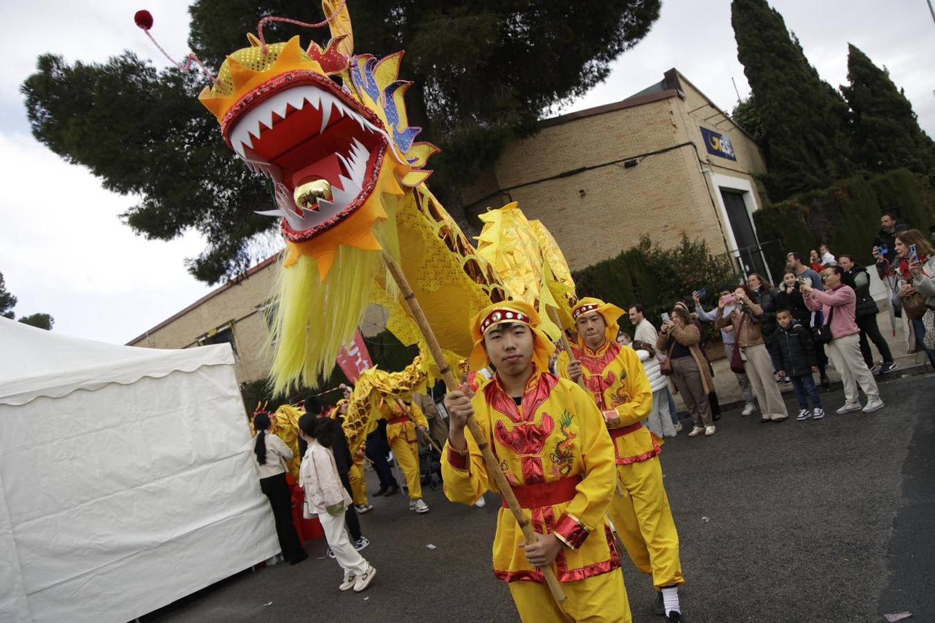 Celebración del Año Nuevo chino en Sevilla