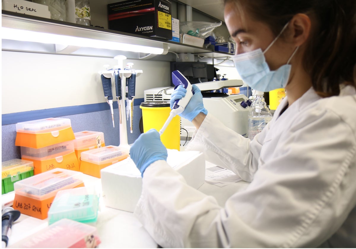 Una investigadora del Instituto de Biomedicina de Sevilla