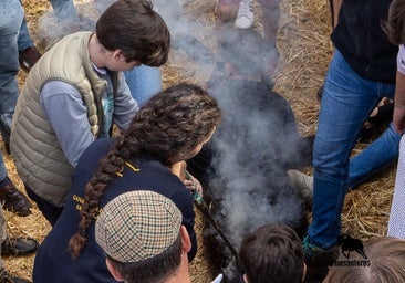 Sara Palacios, la joven de Coria del Río que trabaja como camarera para poder ser ganadera: «No entiendo la vida sin esfuerzo»