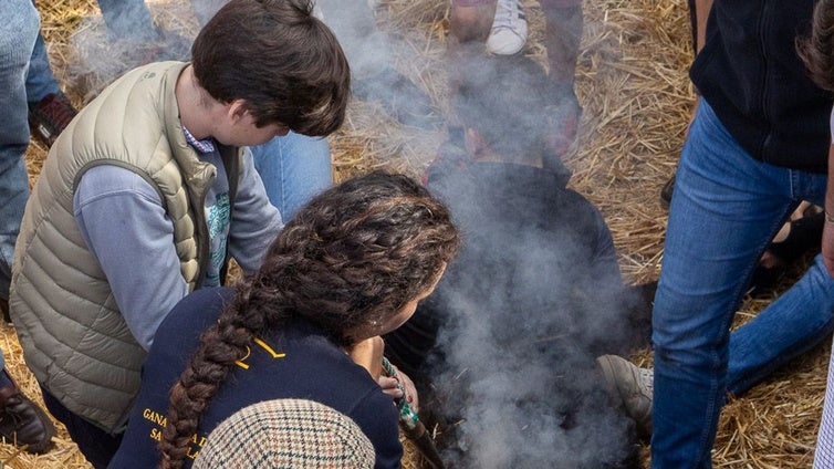 Sara Palacios , la joven de Coria del Río que trabaja como camarera para poder ser ganadera: «No entiendo la vida sin esfuerzo»