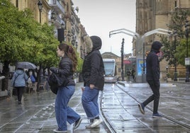 Sevilla registra este sábado lluvias de 20 litros por metro cuadrado y casi 70 incidencias tras el paso de la borrasca Jana