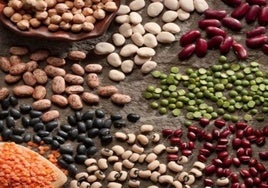 La legumbre rica en proteínas que recomiendan los nutricionistas como alternativa a la carne