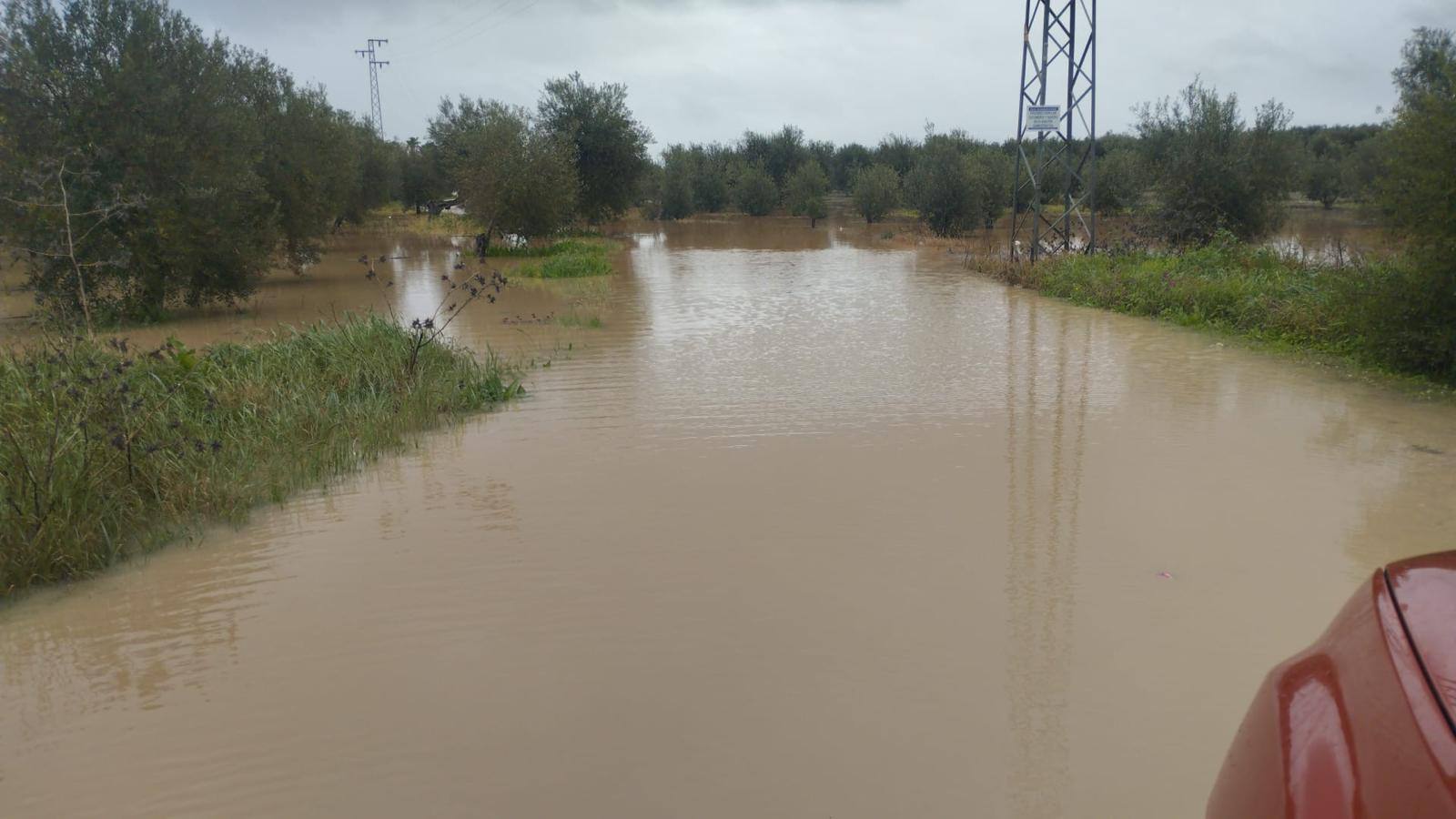 En la zona de Llano Verde (Arahal) hay varias urbanizaciones con más de un centenar de vecinos