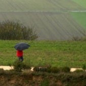 La prórroga del plazo de la PAC se vuelve imprescindible por las lluvias y la falta de agua