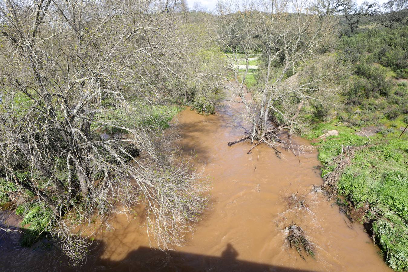 El vehículo del matrimonio fue arrastrado con ellos dentro por la fuerza del agua del arroyo Guadalvacar tras las intensas lluvias