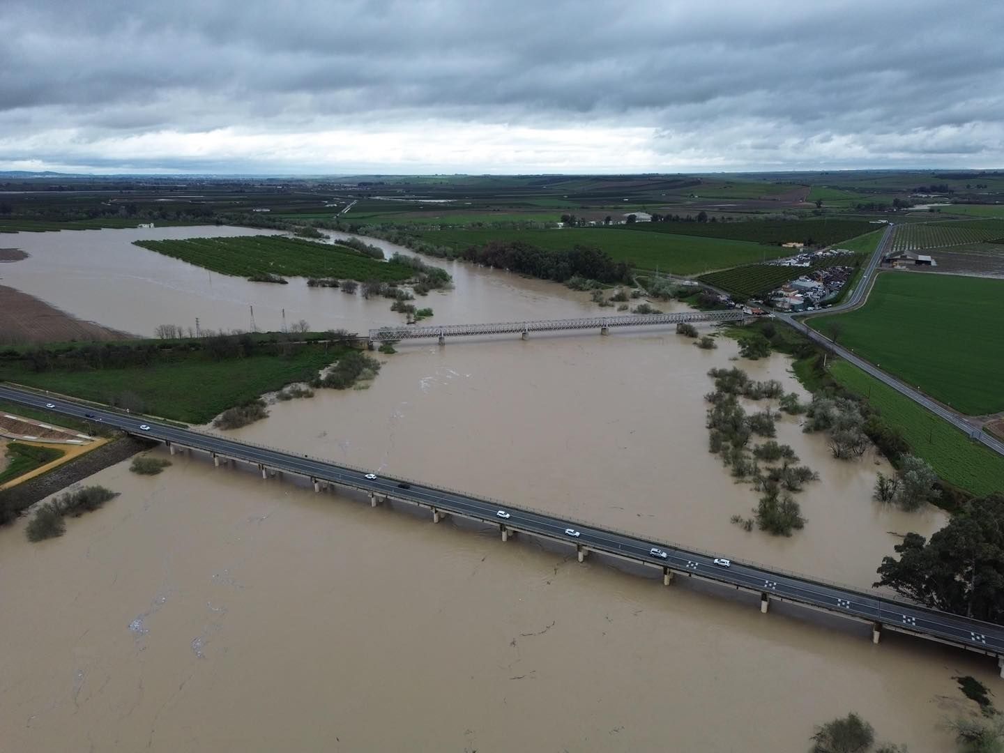 Crecida del río Guadalquivir a su paso por Lora del Río, en imágenes