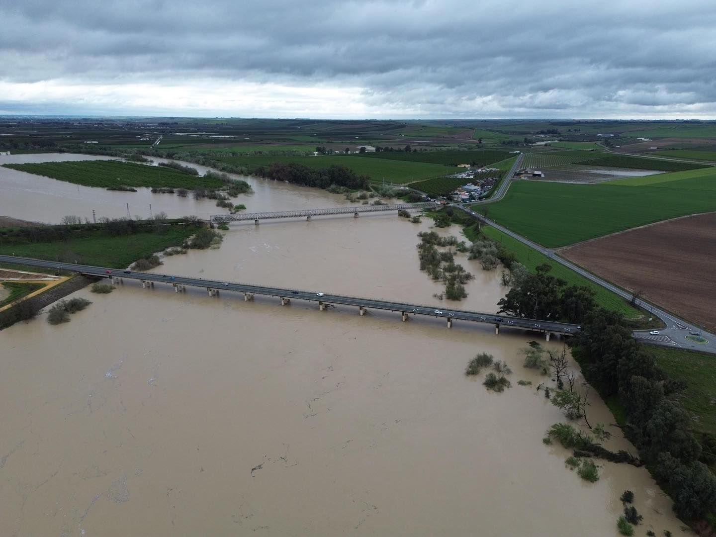 Crecida del río Guadalquivir a su paso por Lora del Río, en imágenes