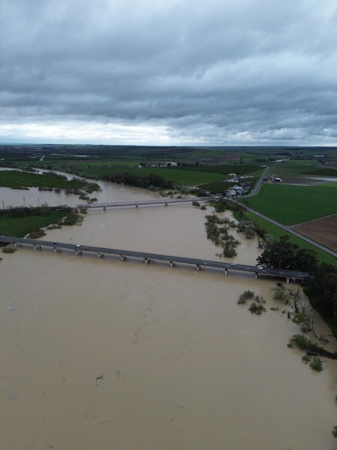 Crecida del río Guadalquivir a su paso por Lora del Río, en imágenes